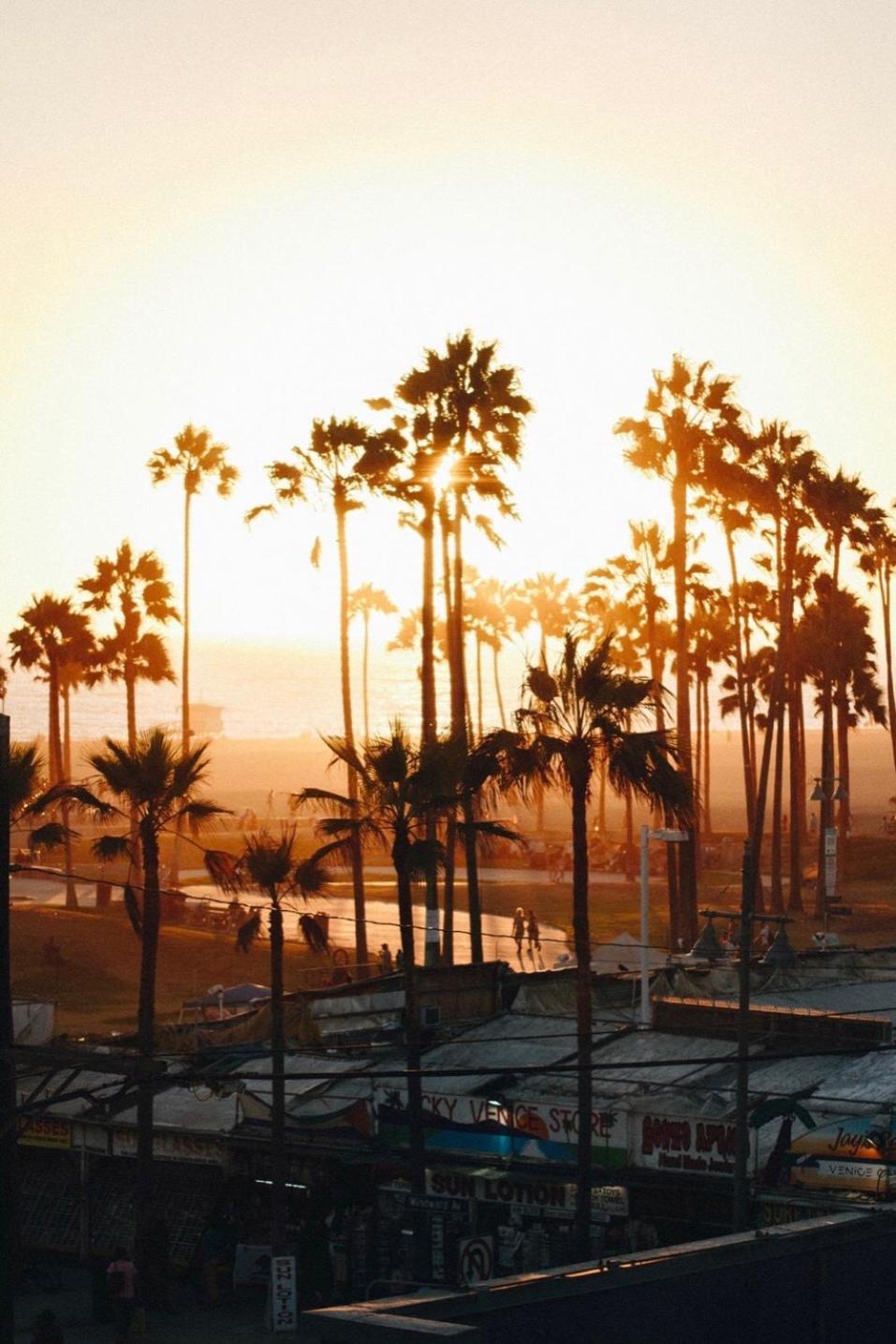 Venice Beach Studio With Large Private Patio Steps To The Beach Лос-Анджелес Экстерьер фото