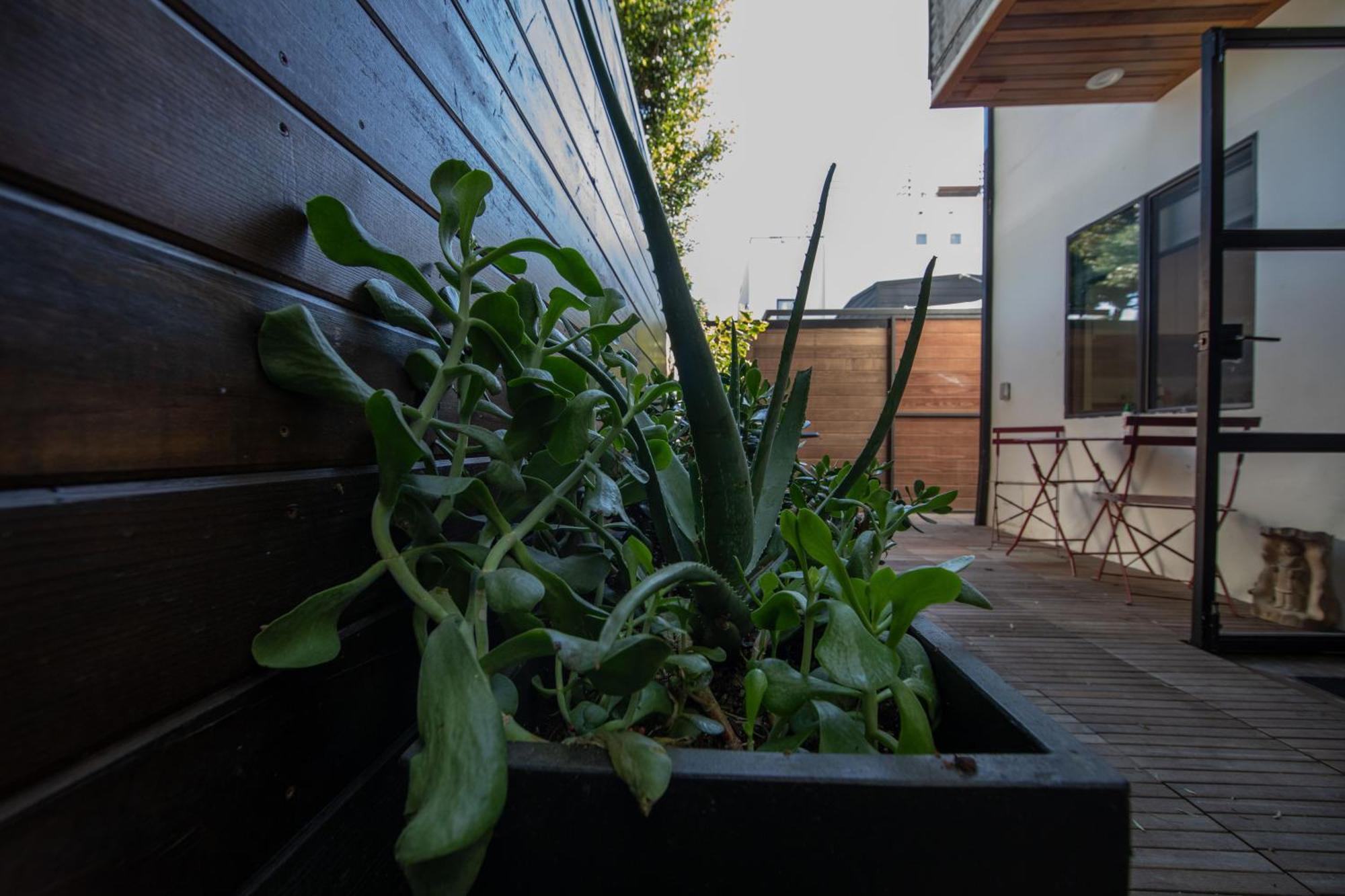 Venice Beach Studio With Large Private Patio Steps To The Beach Лос-Анджелес Экстерьер фото
